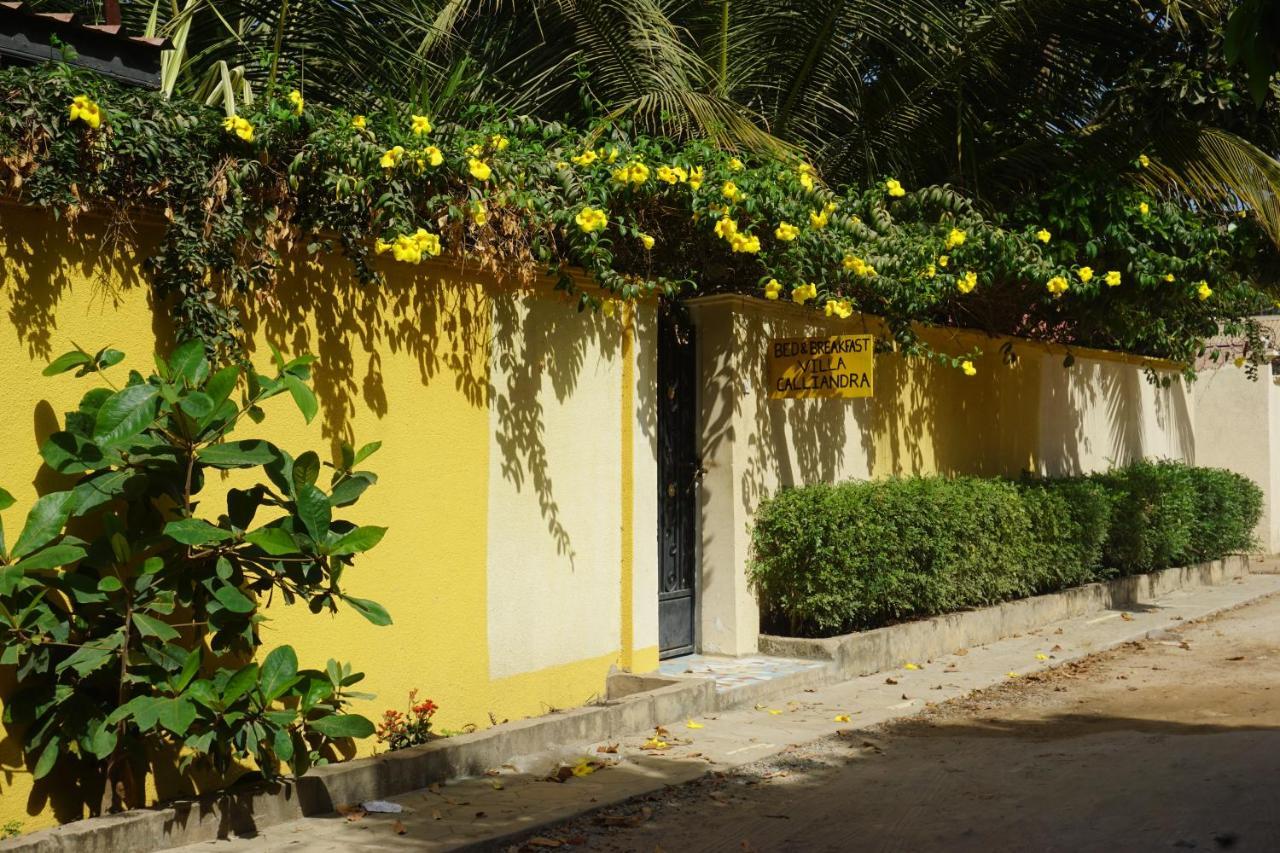 B & B Villa Calliandra Bijilo 외부 사진